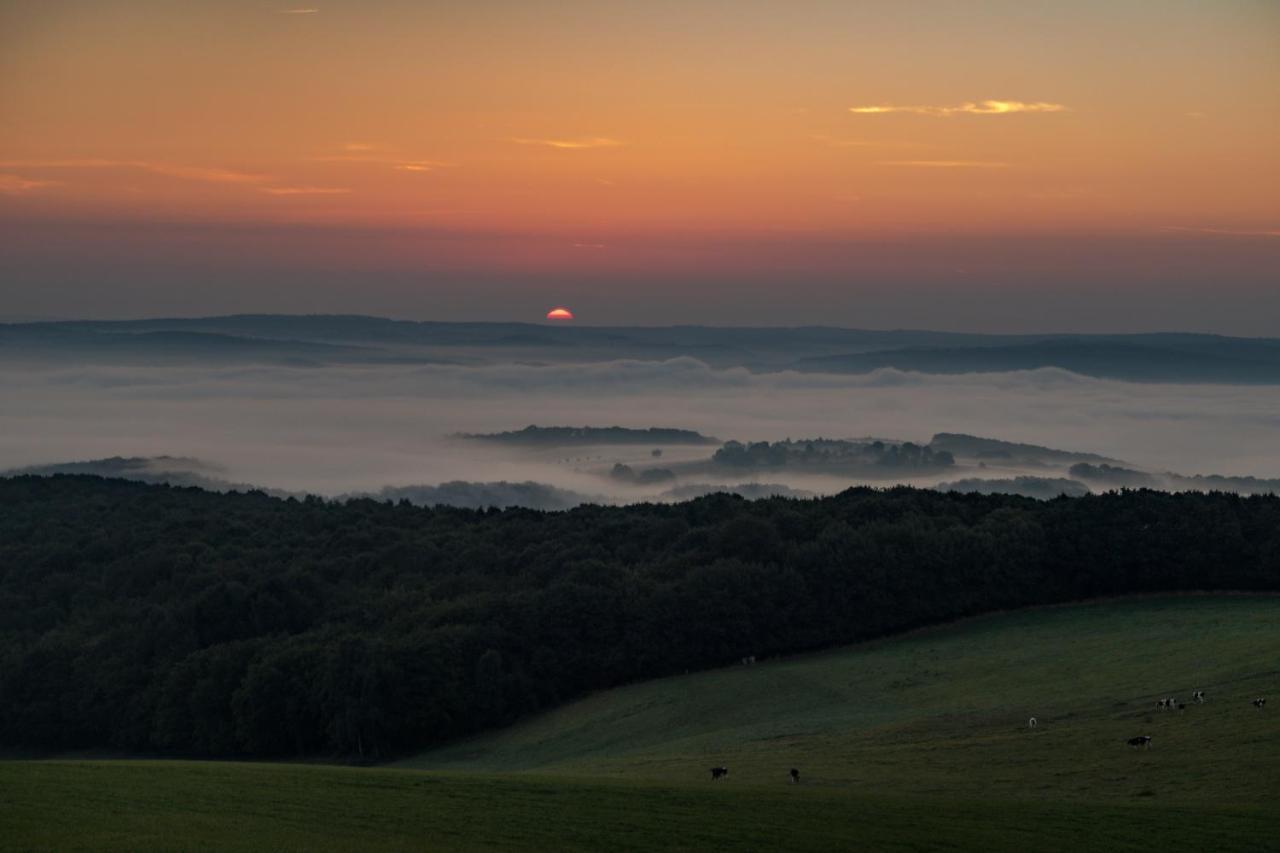Ferienwohnungen Haus Am Wuerzlaysteig Lehmen Exteriér fotografie