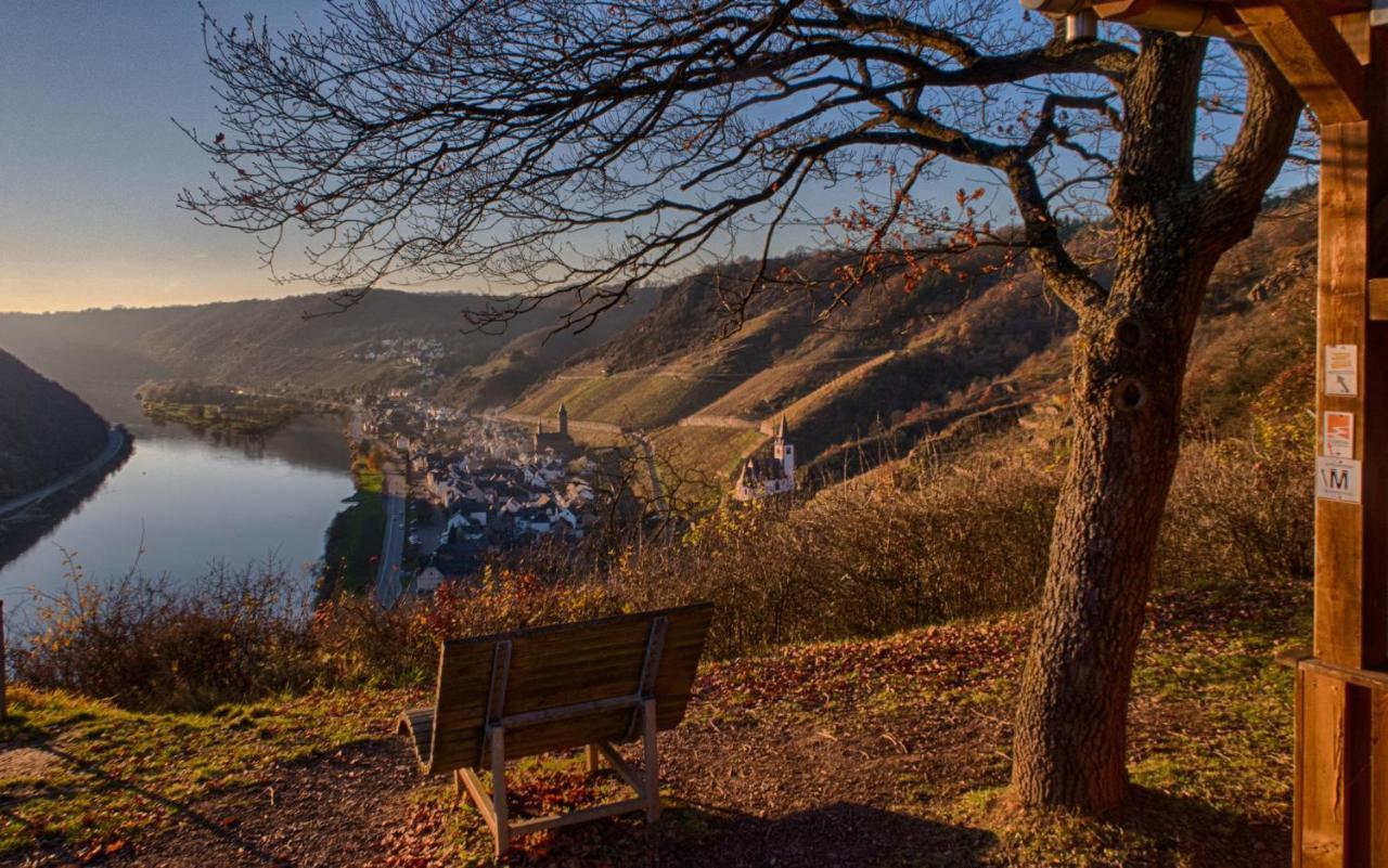 Ferienwohnungen Haus Am Wuerzlaysteig Lehmen Exteriér fotografie